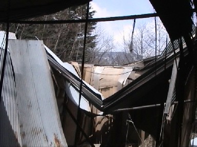 �p���̃S�[�W���X�Ȑ�������