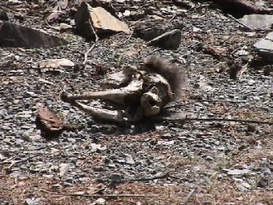 �����������J���V�J