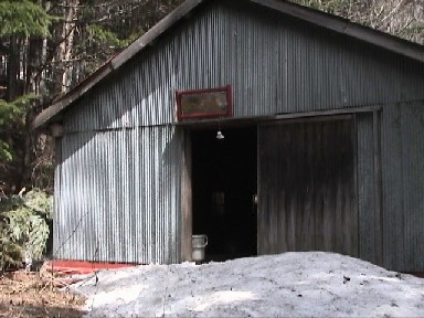 ����ƌ������R����