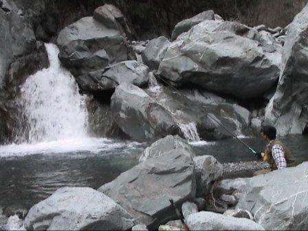 �����͒ނ��