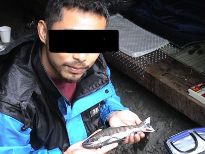 ��S�̃A�}�S