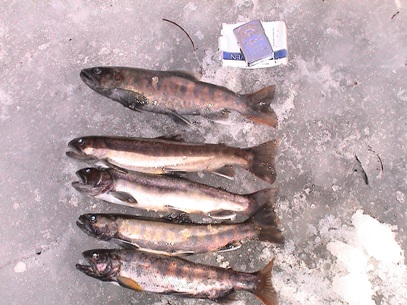 �ŏI���L�[�v��