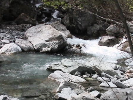 �����Ă����t��