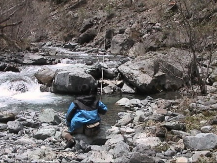 �S�ʓI�ɕ��R�Ȍk��