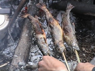 �����牖�Ă�