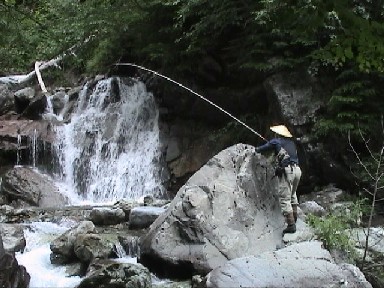 �ǌ^�g�h�s�̐}