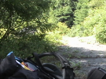 �^�Ă̓���