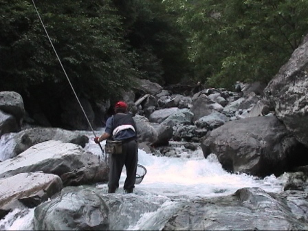 ����H���ŖZ����