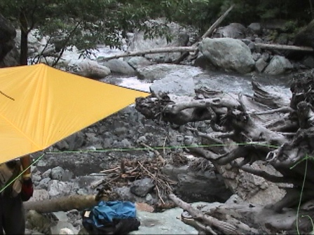 �V�����̃t���C�V�[�g