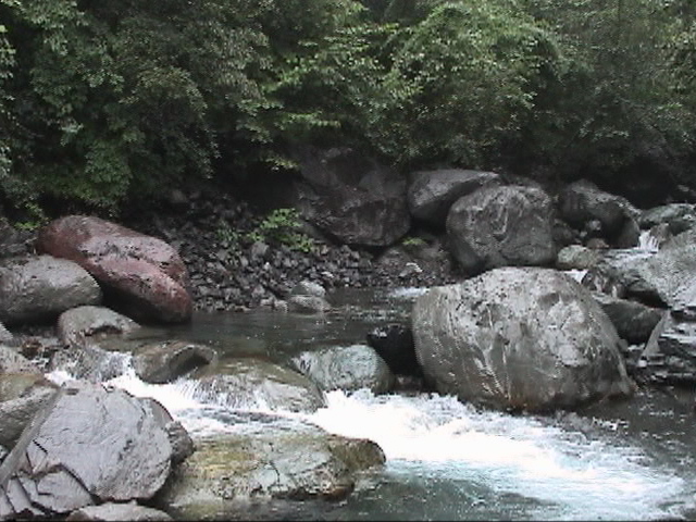 ���J�̂j��