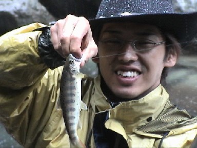 �}�b�T�[�I���A�}�S