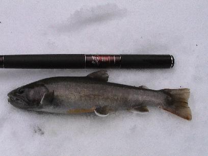 �i�I�L�̂R�O����