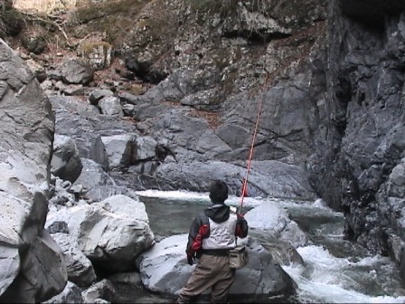 ���Q�̗l�q