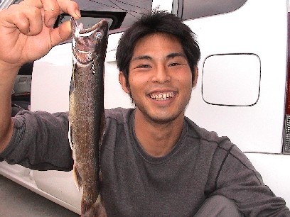 �i�I�L�̂R�S����