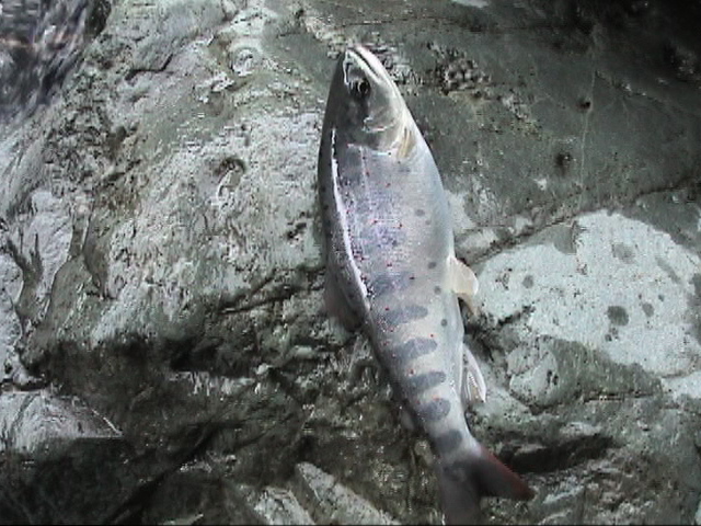 �����^�H