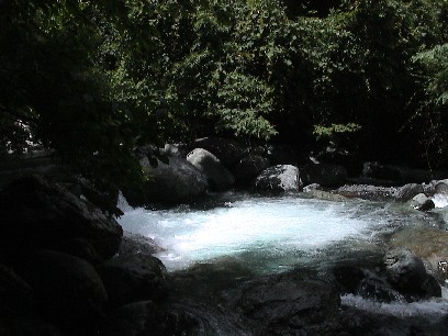 �������u�b�V��