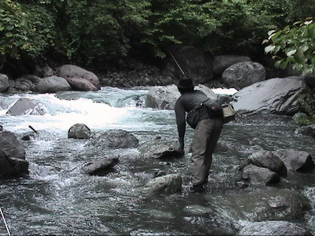 �U�߂�}�b�T�[