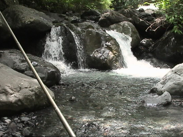 ���ʂ��߂��Ă���