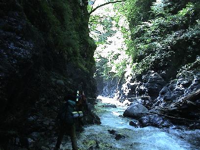 �r�͓��{��