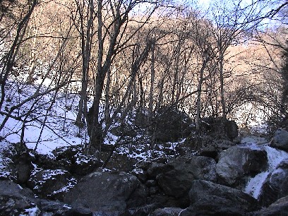 �R���Q�V���̂m��