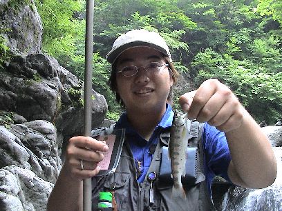 ���U���A�}�S�f�d�s