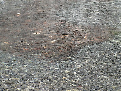 �Y�����̊O���B