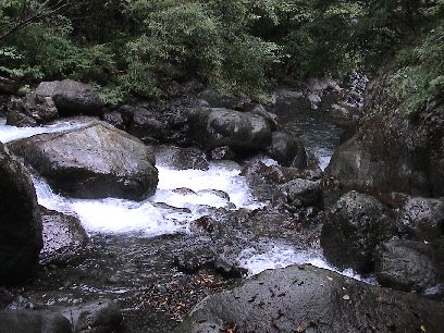 ���߂Ă̂j�쌹����