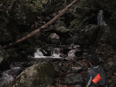 �u�b�V�����E�U�C