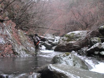 ���N�Ԃ�̌k��