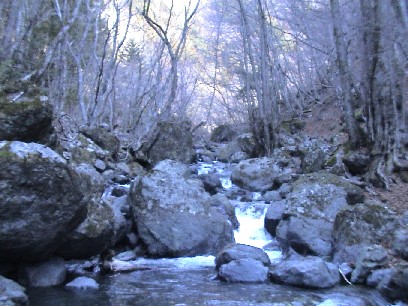 �R�N�Ԃ�̂n��