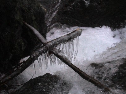 �����͓�����Ă���