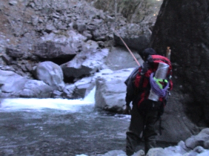 �d�ׂ�w�����Ēނ�