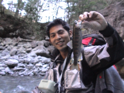 �{���P����