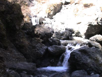 �r�쌹����