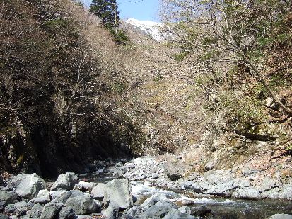 �R���ɂ͂܂��Ⴊ�E�E�B