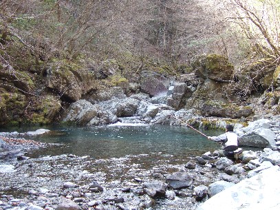 ���N�Ԃ�̌k��