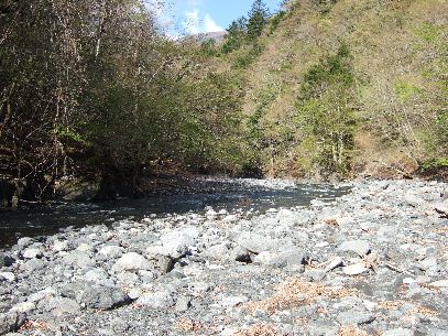 �r�͓�������