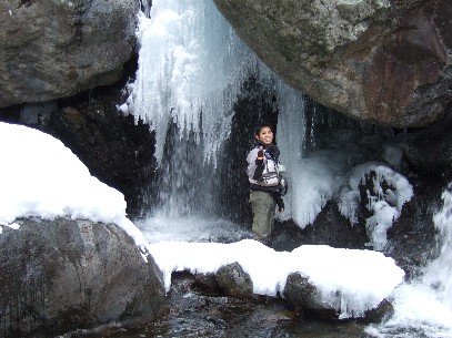 �V�����f���A�̂悤�ȑ�