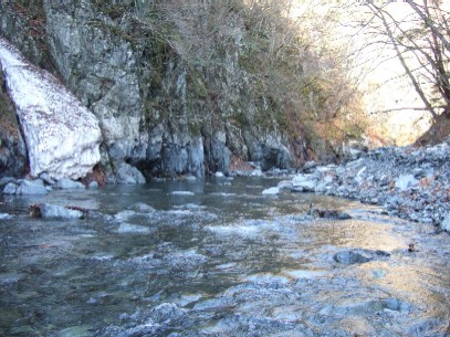 ���A�ɂ͂܂��Ⴊ�E�E