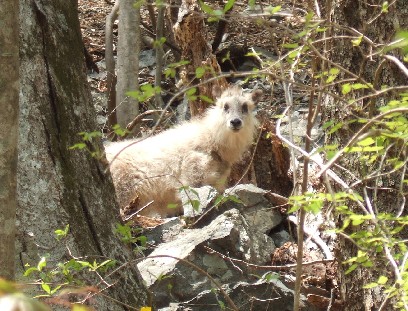 �����J���V�J