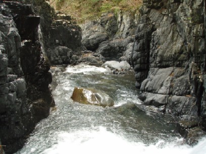 �Q�N�Ԃ�̌k��