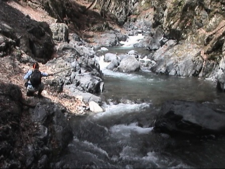 �������̗���