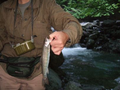 �f�n�N�̈ꔭ��