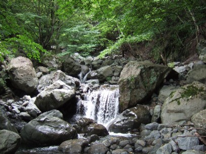 ���߂Ă̂h��