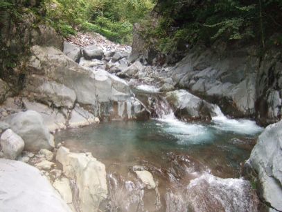 �܂��C���̗ǂ���������