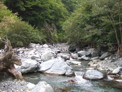 �Ȃ񂾂��ǂ��C���[�W���Ȃ��X��