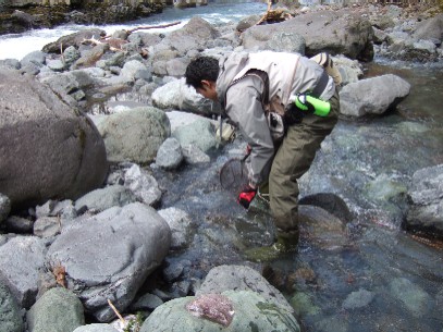 ���ʂ������ĉa�߂肵�