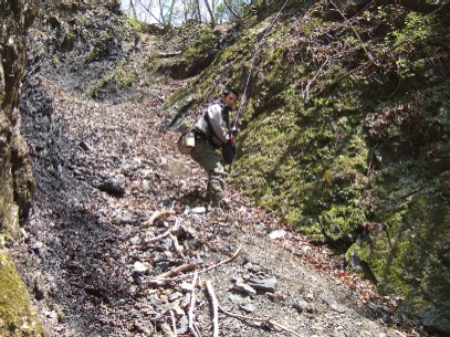 �T�N�Ԃ�̑k�s