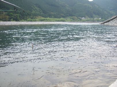 �ǂ��ɋ���̂��낤