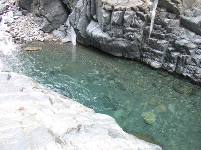 �W���C���i��������